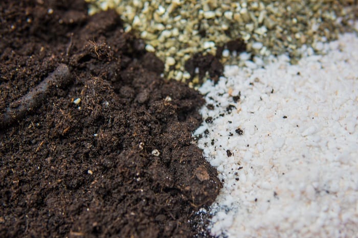 How to Make the Best Premade Super Soil like Magic