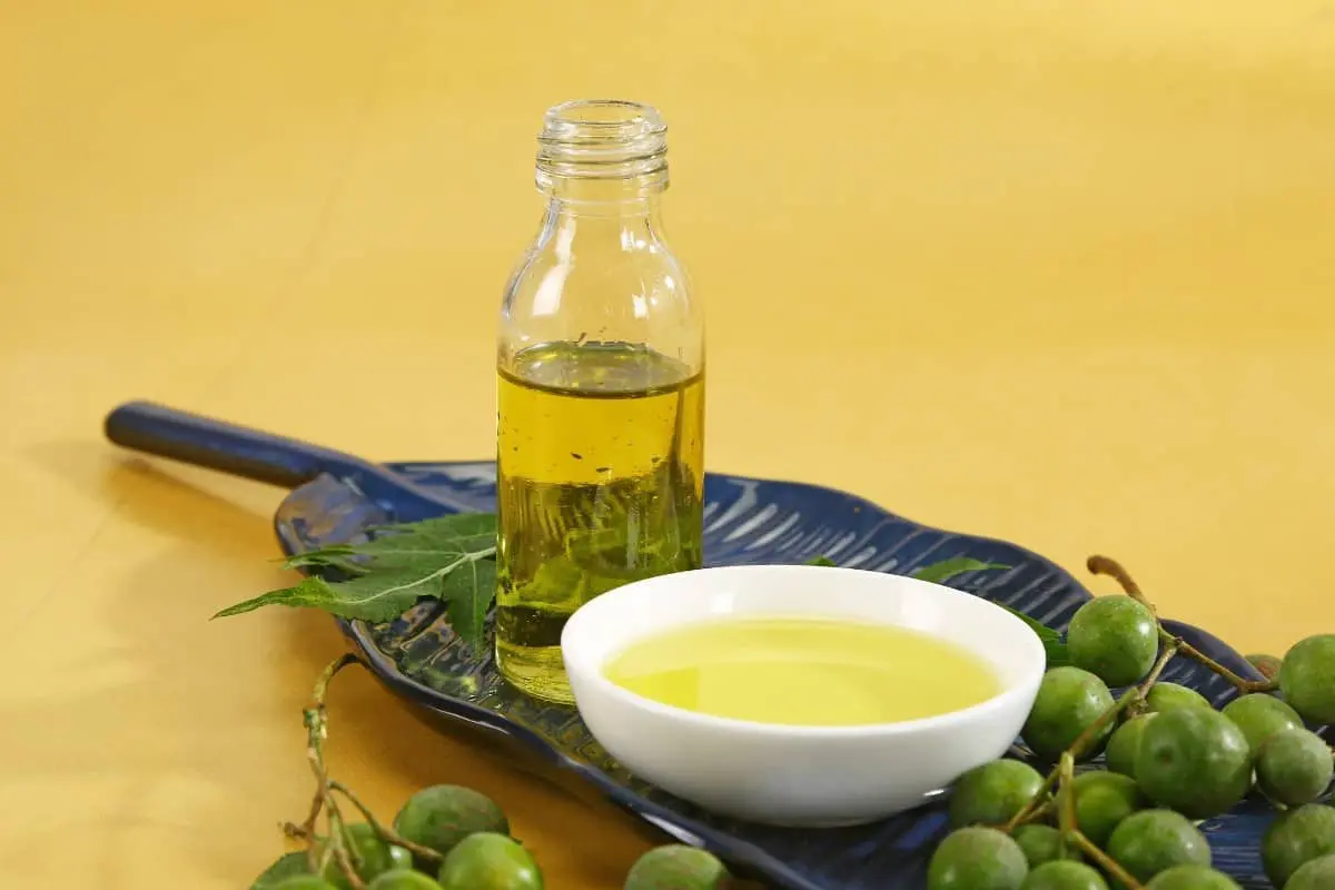 How to Mix Neem Oil for Plants & Its Application Process