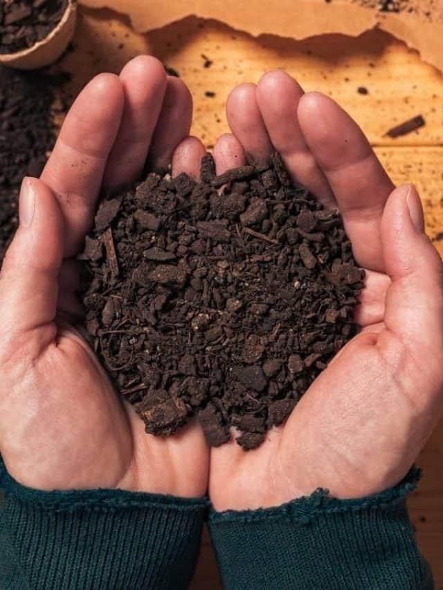 cropped-Top-Soil-Vs-Compost-Whats-The-Difference-Whats-Best-To-Use.jpg