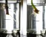 Best Mycorrhizal Products in the Market Today