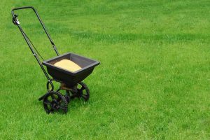 Is Purely Organic Lawn Food the Best Lawn Fertilizer