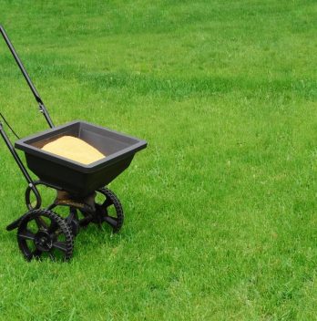 Is Purely Organic Lawn Food the Best Lawn Fertilizer