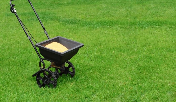 Is Purely Organic Lawn Food the Best Lawn Fertilizer