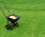Is Purely Organic Lawn Food the Best Lawn Fertilizer