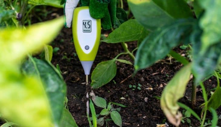 Best Soil Moisture Meter in the Market Today