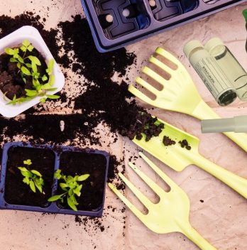 The Best Soil Test Kit – Foundation For Healthy Plants