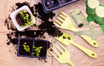 The Best Soil Test Kit – Foundation For Healthy Plants