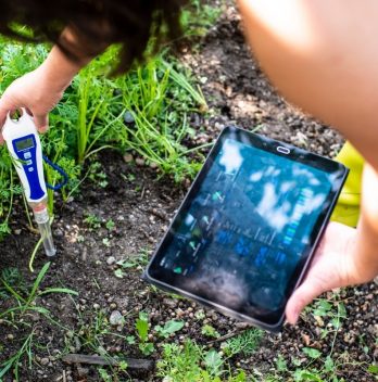 The Best pH Meter - An Ultimate Guide for your Soil