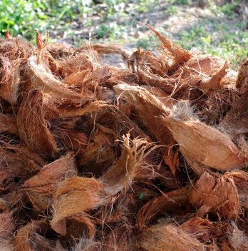 What is Coconut Coir Plus Its’ Recommended Products