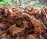 What is Coconut Coir Plus Its’ Recommended Products