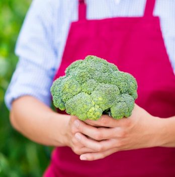 when to pick broccoli