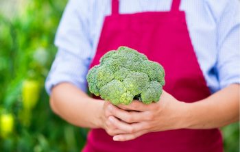 when to pick broccoli