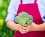 when to pick broccoli