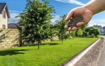 Gypsum For Lawns