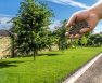 Gypsum For Lawns