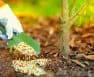 Is Gypsum a Good Fertilizer