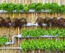 Vertical Hydroponics System