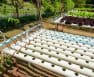 Hydroponic Drip System Watering Schedule