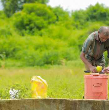 Where To Buy Compost Tea And How To Apply It