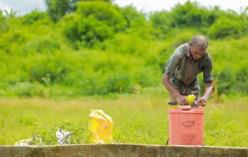 Where To Buy Compost Tea And How To Apply It