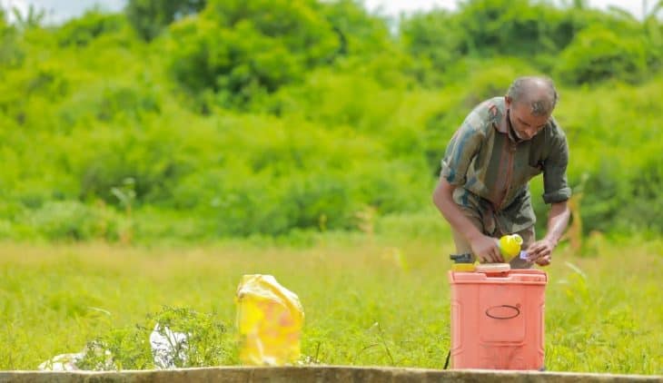 Where To Buy Compost Tea And How To Apply It