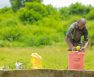 Where To Buy Compost Tea And How To Apply It