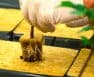 starting seeds in rockwool