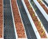 Growstones For Aquaponics