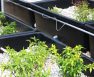 Aquaponics Filtering Systems
