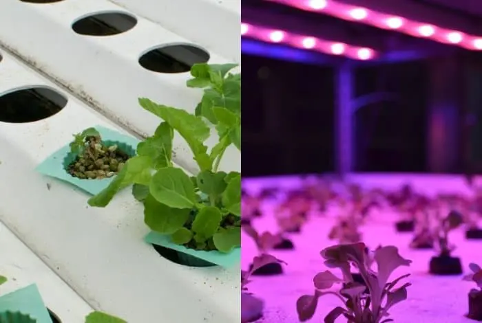 Other Cost To Consider - Hydroponic System