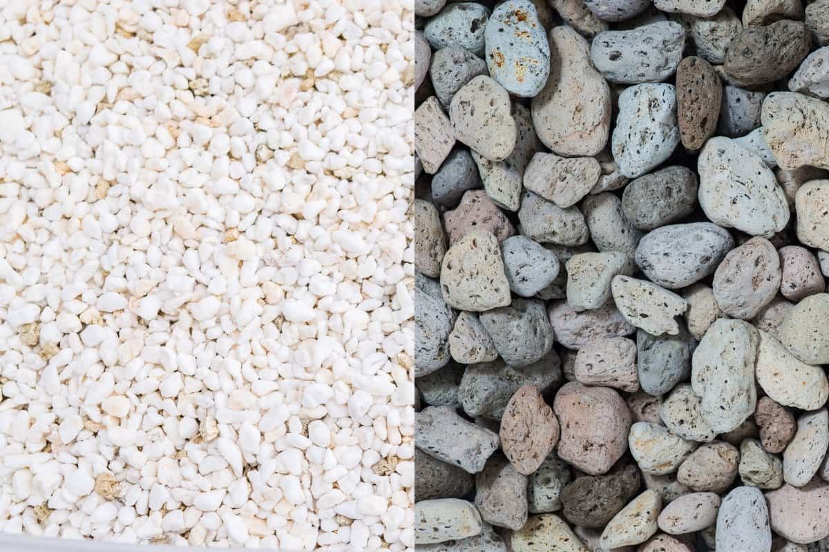 perlite vs pumice