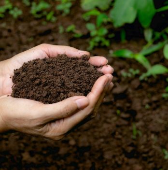 simple super soil recipe