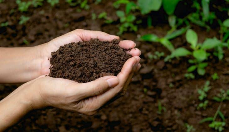 simple super soil recipe