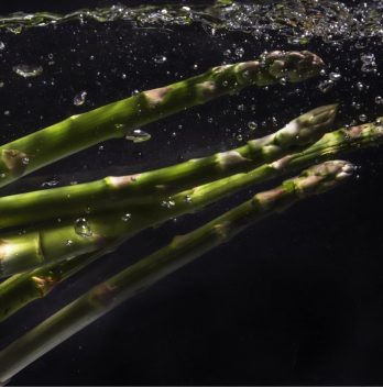 hydroponic asparagus