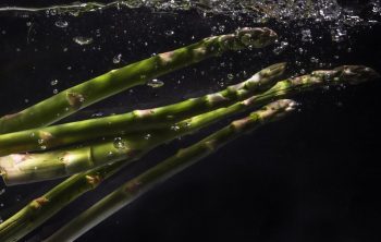 hydroponic asparagus