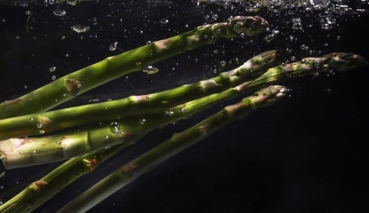 hydroponic asparagus