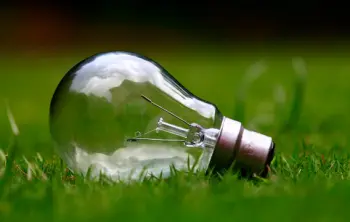 regular light bulb for growing plants