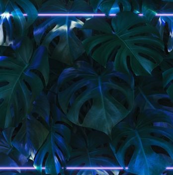 black light for plants