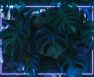 black light for plants