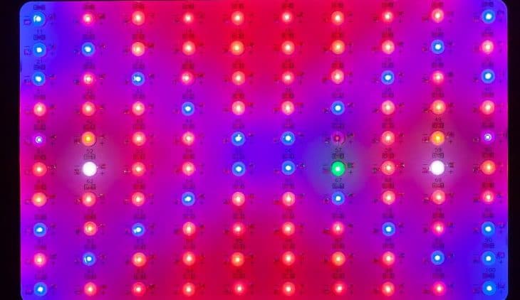 platinum led grow light review