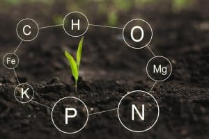 Where To Buy Hydroponics Nutrient Solution