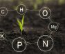 Where To Buy Hydroponics Nutrient Solution