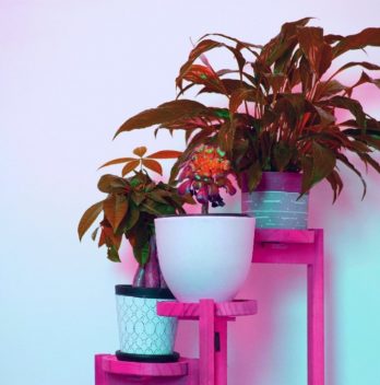 3 Tier Plant Stand With Grow Lights