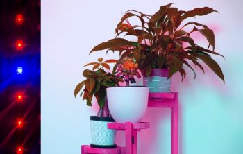 3 Tier Plant Stand With Grow Lights