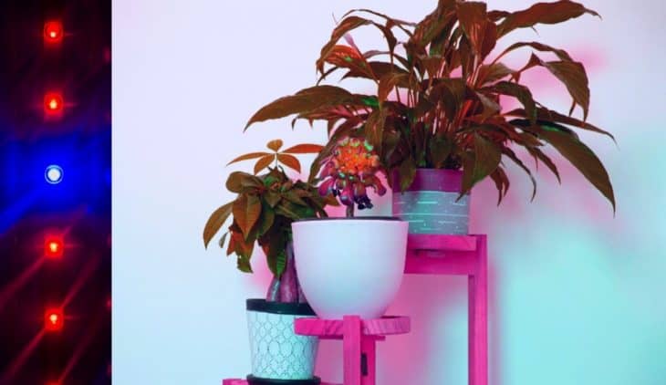 3 Tier Plant Stand With Grow Lights