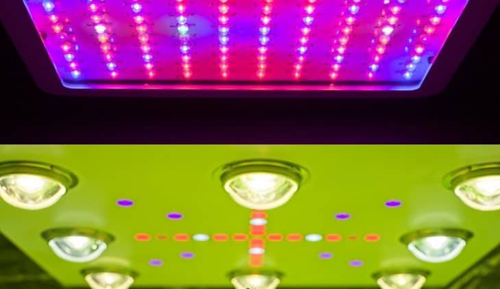 COB vs SMD LED For Growing