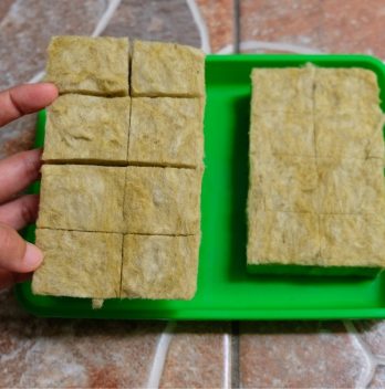 How To Make Rockwool Cubes