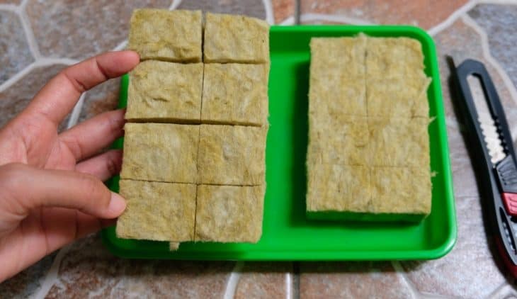 How To Make Rockwool Cubes