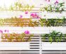 Stackable Gardening Containers