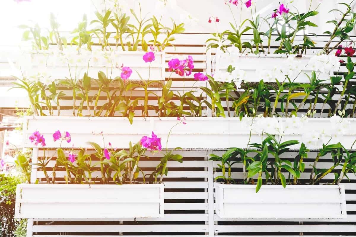 Stackable Gardening Containers